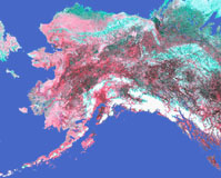 A photo of a satellite image of Alaska.