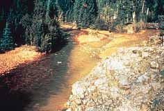 Picture of a contaminated stream.