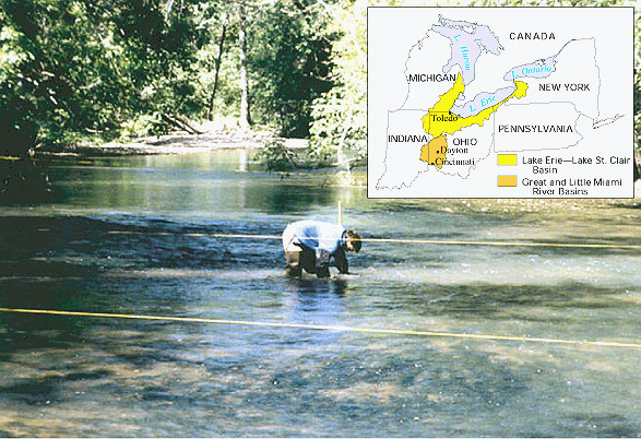 Photo of USGS scientist knee deep in a river collecting biological data.