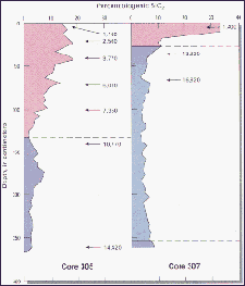 Graph showing percentages of biogenic silica in two Lake Baikal cores.