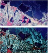 These images of the extreme South San Francisco Bay are two-color infrared (CIR) aerial photographs taken ten years apart.