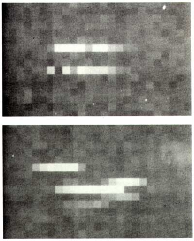 Digitally-enhanced images used to distinguish sonic returns.