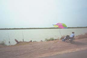 Photo of man fishing in the Donna Reservoir.