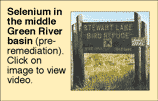 Selenium in the middle Green River basin (pre-remediation). Click on image to view video.
