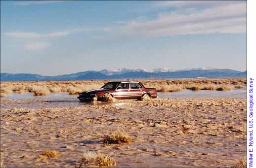 Photograph of car being driven on flooded State Line Road near Death Valley Junction, California, February 25, 1998