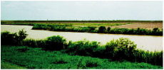 Photograph of Llano Grande Lake.