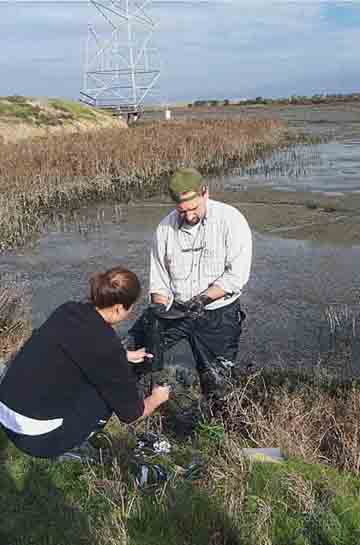 Photo of technicians taking a microbiological sample in a coastal area.