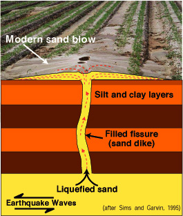 Modern sand blow showing silt and clay layers, sand dike, liquified sand and earthquake waves
