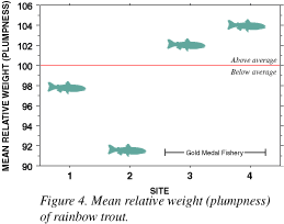 Figure 4. Mean relative weight (plumpness) of rainbow trout.