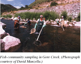 Photo showing fish-community sampling in Gore Creek.