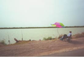Photograph showing fisherman at Donna Reservoir, Hidalgo County. 