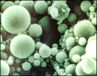 Photomicrograph showing cenospheres in fly ash from powerplants