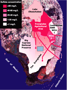 Map of the Florida Everglades superimposed on a satellite image of South Florida. For a more detailed explanation, contact Bill Orem at borem@usgs.gov