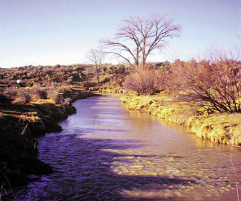 Photograph of typical stream setting in the Colorado Plateau province.