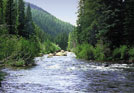 Photograph of typical stream setting in the Southern Rocky Mountains province.