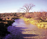 Photograph of typical stream setting in Colorado Plateau province.
