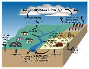 Figure 1. Pathways of pesticide movement in the hydrologic cycle.