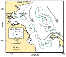 Observed mean flow (small blue arrows) and the variability (shown as a green ellipse centered around the tip of the mean flow arrows) for near-surface currents (4-8 m below sea surface) measured between December 1989 and September 1991.