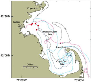 Paths of a few of the drifters released in May 1990 illustrating the variability of the surface currents in Massachusetts Bay.