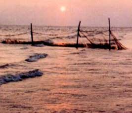 A color photograph of the Chesapeake Bay at sunset.