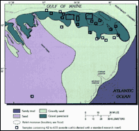 Georges Bank seafloor sediment map.