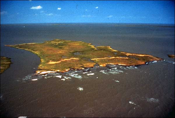 The area shown is part of the Isles Dernieres in central Louisiana. Sustained winds in excess of 135 miles per hour accompanied Hurricane Andrew as it passed across the western end of these barrier islands. The photograph below was taken several days after the passage of Hurricane Andrew in August 1992.