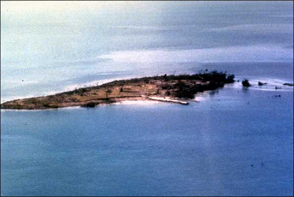 Soldier Key after Hurricane Andrew.