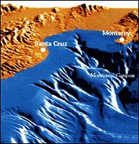 Computer-generated image shows onshore- and offshore topography in the Monterey Bay area.