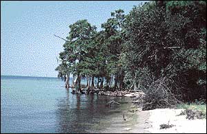 Shoreline erosion and loss of wetlands are critical issues.