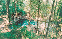 Photo of Wilson Blue Spring south of Albany