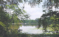 Photo of Lake Chehaw, just north of Albany, Georgia.