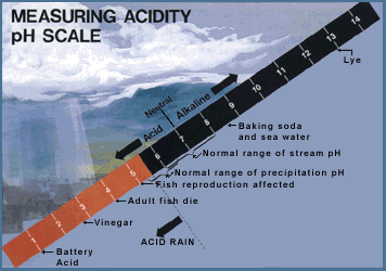 Measuring Acidity pH Scale