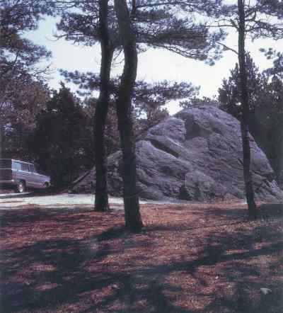 Figure 11. Doane Rock located just off Nauset Road, Eastham is the largest glacial boulder on Cape Cod.