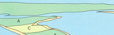 diagram of Wellfleet Harbor showing A) areas composed of Wellfleet outwash plain deposits  B) areas composed of sand eroded from cliffs C) areas of march deposits formed in sheltered water 