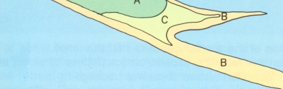 diagram of Wellfleet Harbor showing A) areas composed of Wellfleet outwash plain deposits  B) areas composed of sand eroded from cliffs C) areas of march deposits formed in sheltered water 