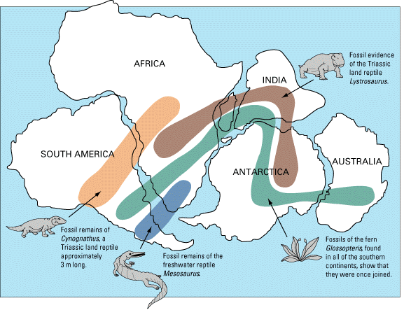 [ fossil biogeography of Gondwana, USGS ]