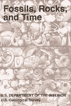 Collage showing fossils and the title Fossils, Rocks, and Time