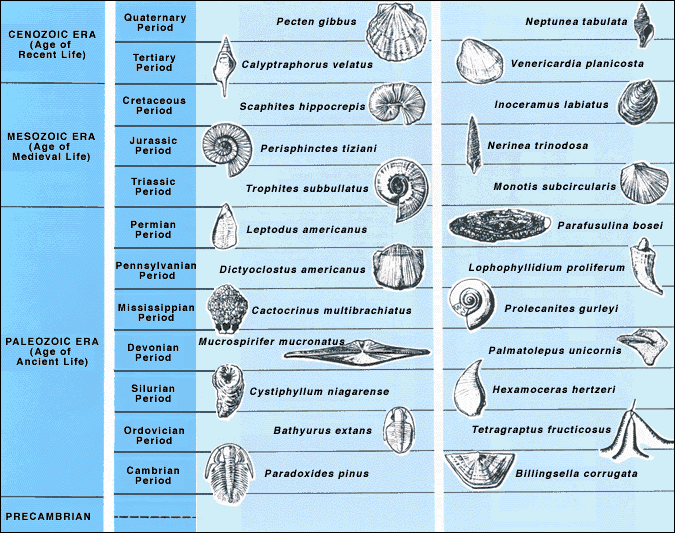 Diagram showing index fossils