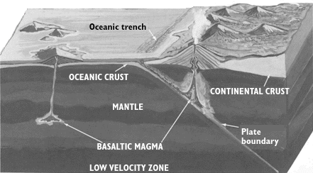 Diagram of volcano in oceanic and continental environments