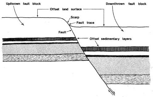 Figure 8. Vertical section through a hypothetical fault in the Houston area. Land surface was originally level, but has since been displaced by movement along the fault. Note thickening of sedimentary layers on the downthrown side. This indicates that faulting occurred repeatedly over a long period of time, while the sediments were being deposited. Such faults are common in the Texas Gulf Coast. 