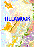 TILLAMOOK