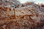 Thumbnail of Old Quaternary calcrete soil (Qok)