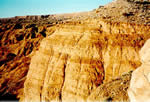 Thumbnail of Sand and silt beds of the Muddy Creek Formation