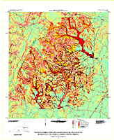 Debris Flow/Flood Hazard Map