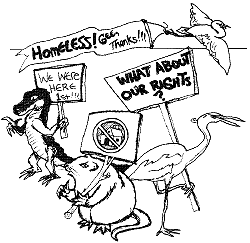 illustration of homeless animals picketing