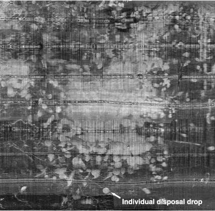Close up of EG&G SMS 960 sidescan sonar imagery over the Old Honolulu Harbor disposal site.
