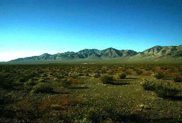 Photograph of the Amargosa Valley in western Nevada.