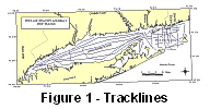 Figure 1 - Tracklines