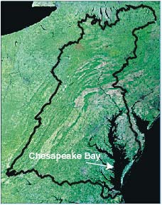 Satellite image mosaic of the Chesapeake Bay
