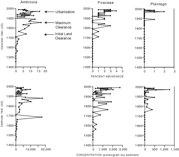 Figure 7.3.  Percent abundance and concentration of pollen of Ambrosia, Poaceae, and Plantago in core MD99-2209